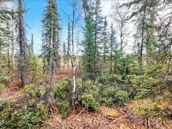 66359 S Parks Hwy, Willow, AK 99688