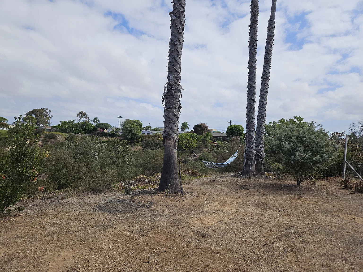 Winthrop St, San Diego — Photo 4