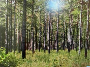 2850 Goodwin Rd #1, Morris, AL 35116