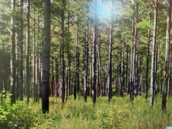 2850 Goodwin Rd #1, Morris, AL 35116