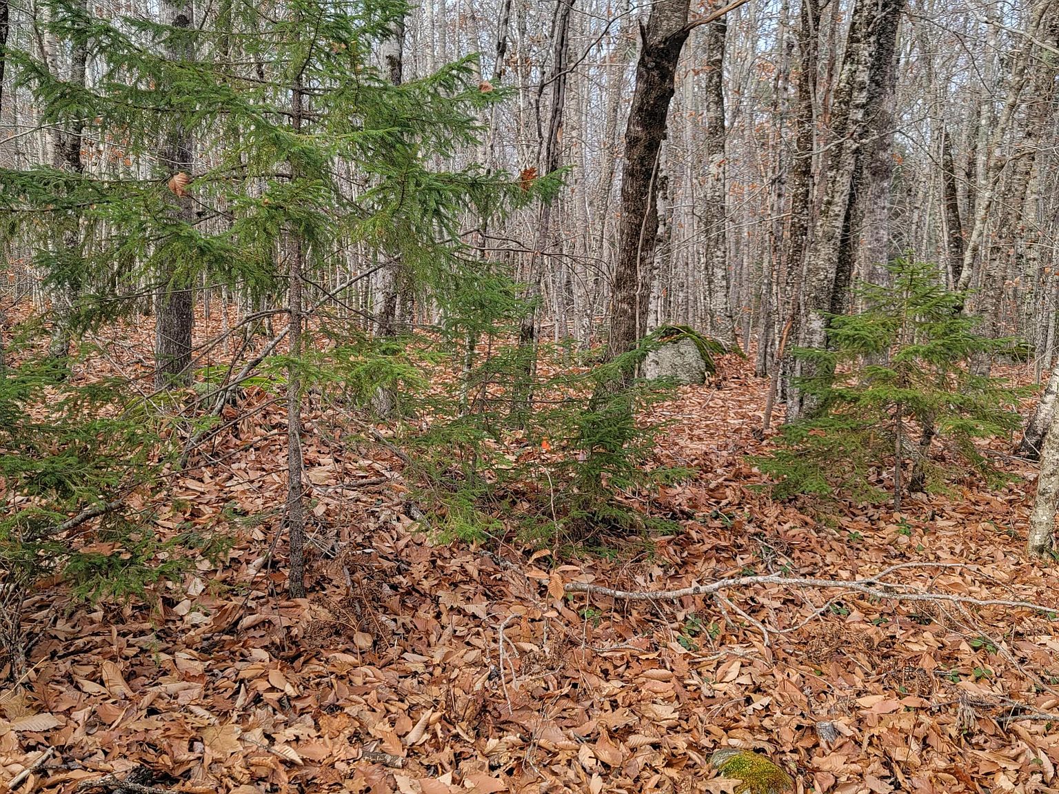 126 Hardwood Ridge Road, Cherryfield, ME 04622 MLS 1577881 Zillow