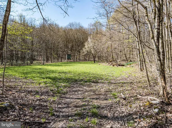 Big Mountain Rd, Charmco, WV 25958