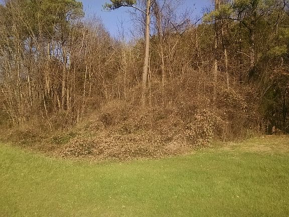3rd image of Tract 2 Hwy 25 E