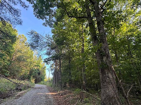 3rd image of 475 Summer House Mountain Rd