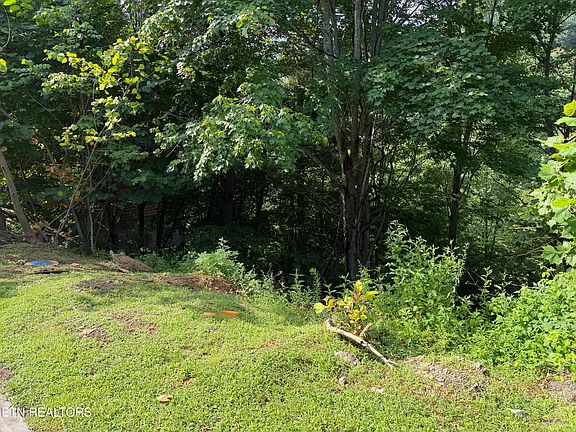 4th image of 56 Smoky Ridge Way