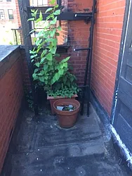 Rented by Real Broker NY LLC