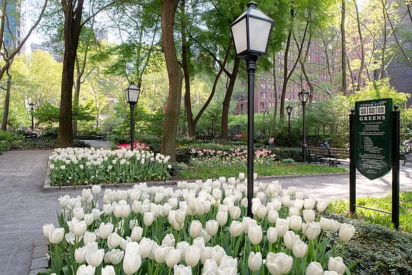 Rented by Douglas Elliman | media 22