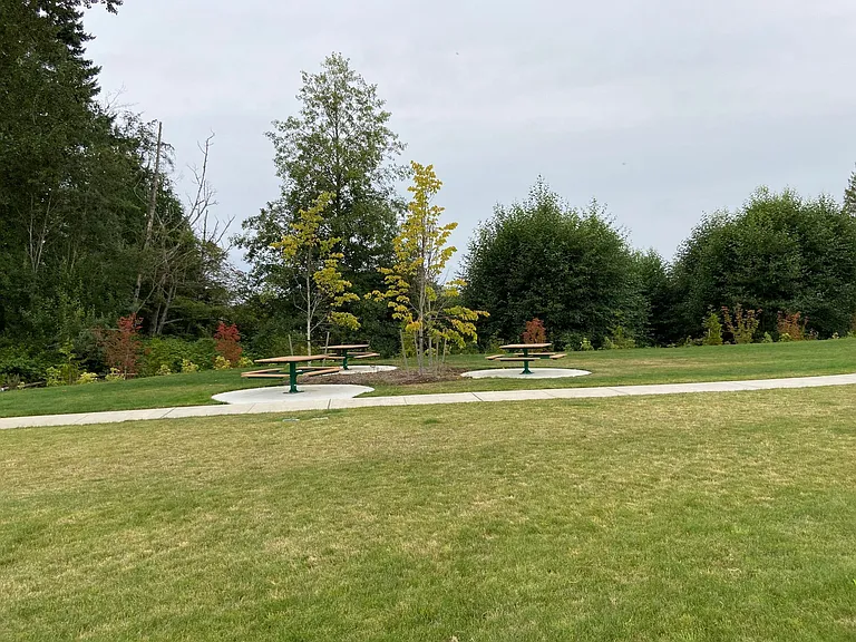Greenbelt behind the house with small park