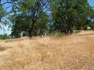 3608 Dunn Rd photo 1