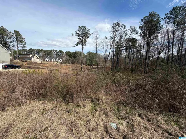 1116 Baylor Ct #66, Pell City, AL 35125