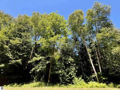 0 Concord #131-32, Oscoda, MI, 48750