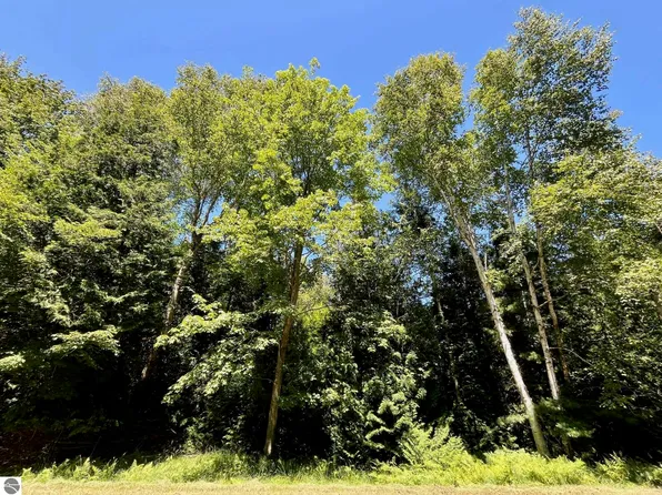 0 Concord #131-32, Oscoda, MI 48750