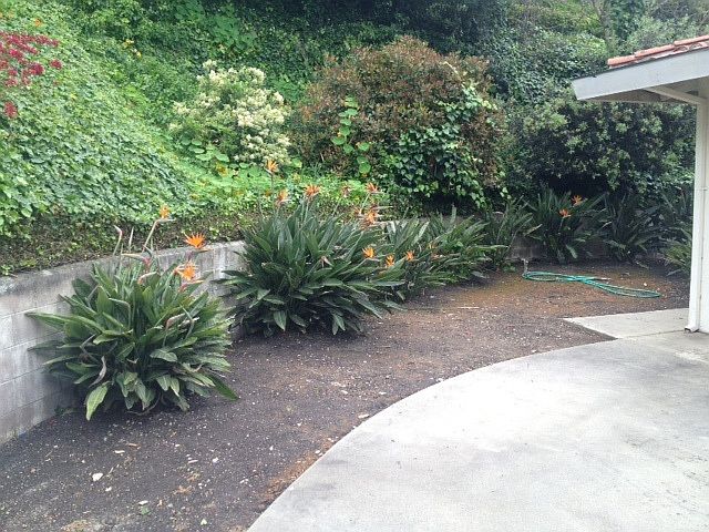 Quiet Backyard Patio