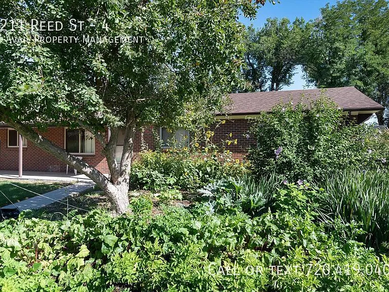 1211 Reed St #4 — Photo 3