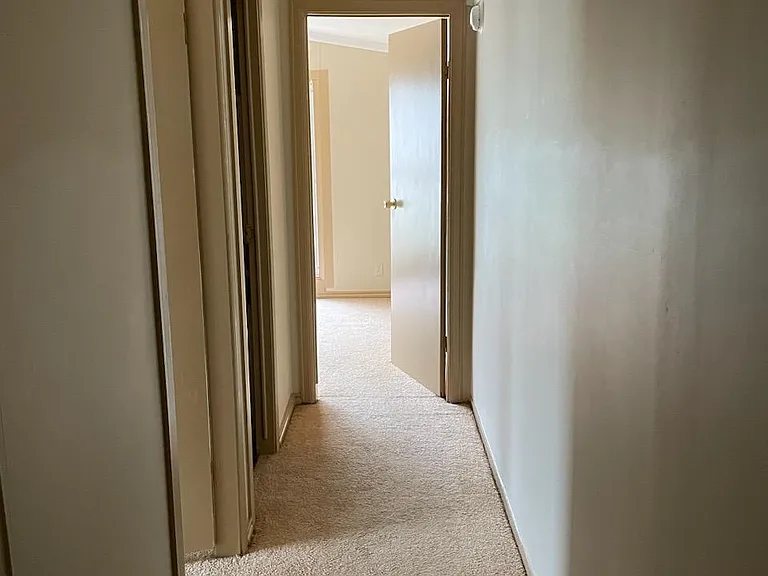 31363 Wisteria Rd — Photo 12