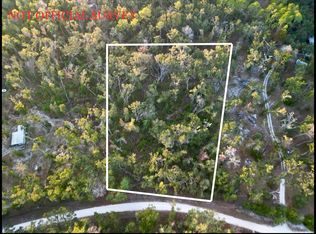 Lot 19 NE 497th St, Old Town, FL 32680