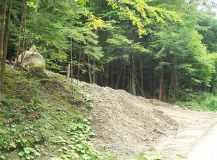 7000 Pokey Moonshine Rd, Springwater, NY 14560