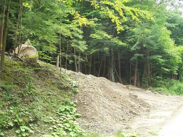 7000 Pokey Moonshine Rd, Springwater, NY 14560