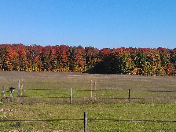 8 acres fenced pasture 