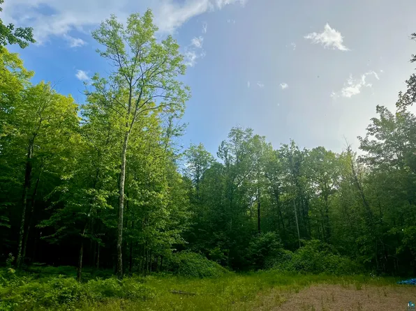 555XX N Altamont Rd, Mason, WI 54856