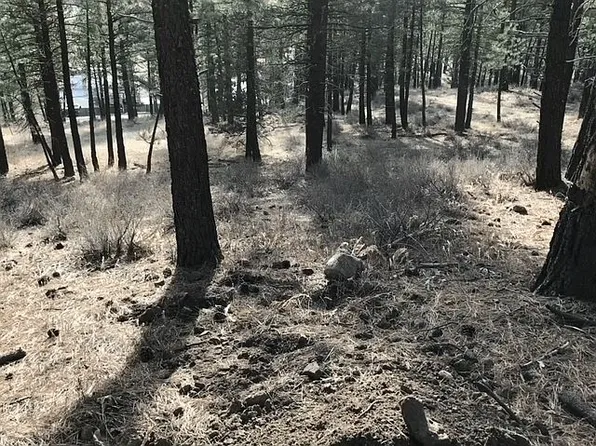 74364 Old County Rd, Portola, CA 96122