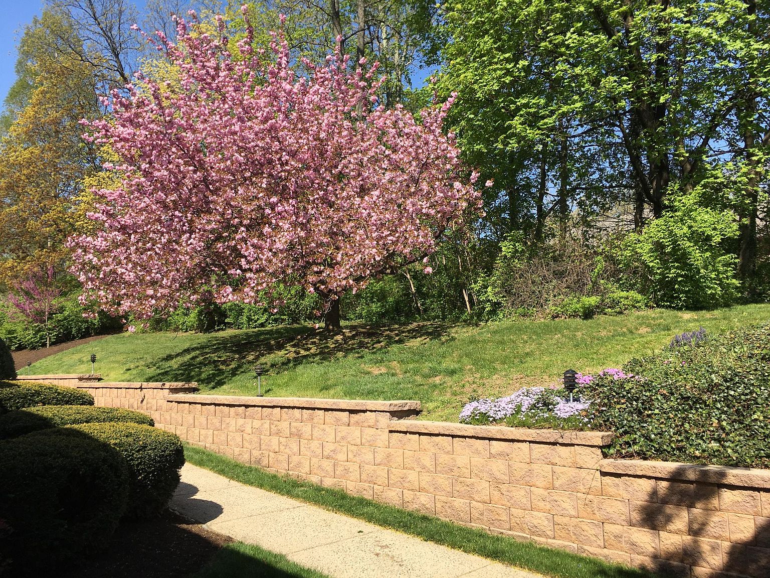 354 Paoli Woods Dr, Paoli, PA 19301 Zillow