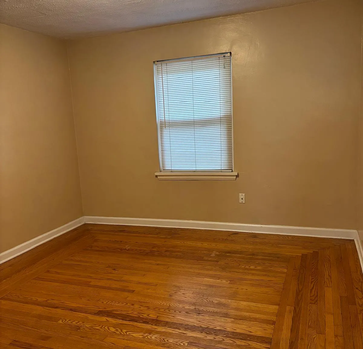 1 bed, 800 sqft, $1,395 — Photo 3
