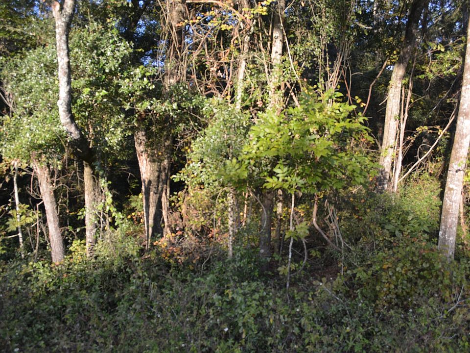 2nd image of CR 349 N