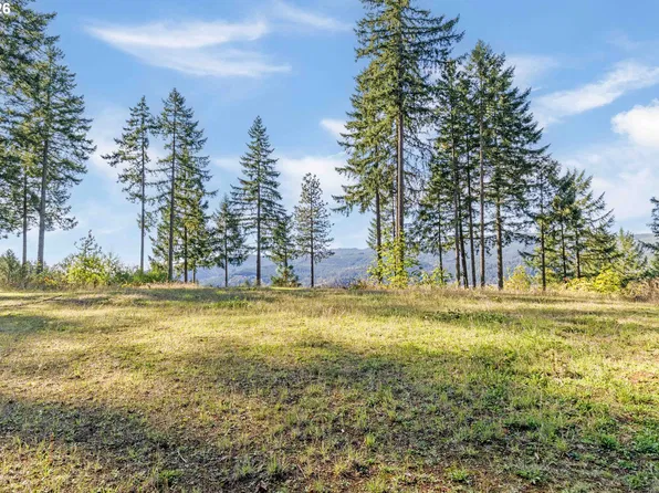 Alder Branch Rd #216, Springfield, OR 97478