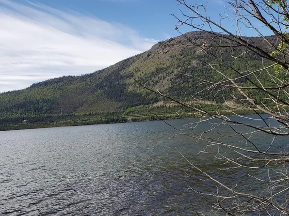 L4 Lakeview Dr, Copper Center, AK 99573
