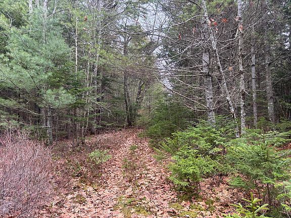 4th image of M11L17&17C Rogers Point Road