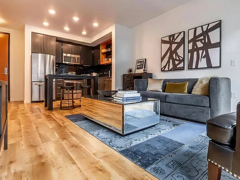 Open Layout Apartment with Kitchen, Living Room, and Entry Area