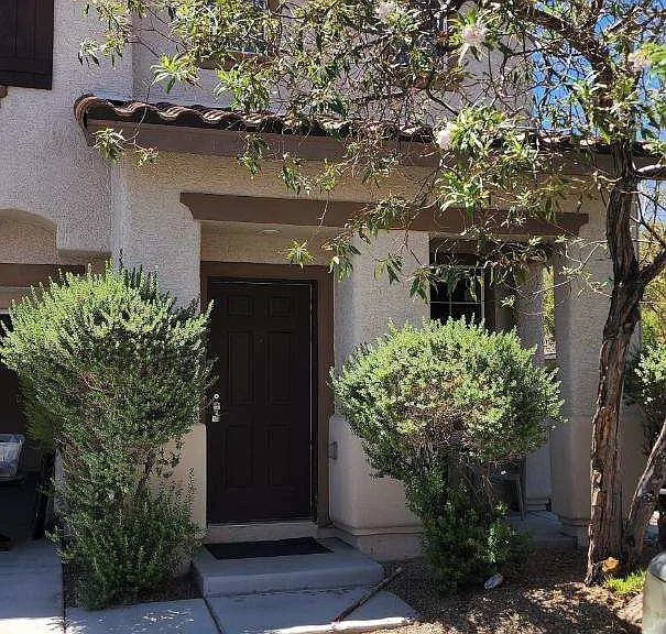 10293 Canvas Canyon Ct — Photo 5