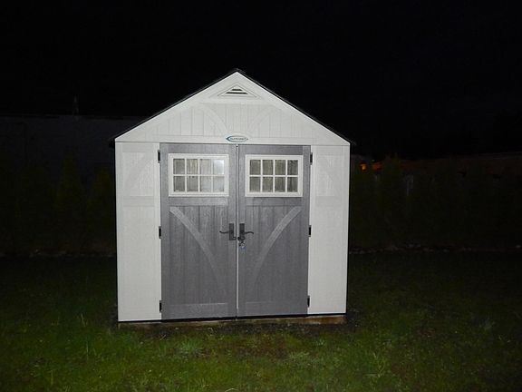 Shed in back yard