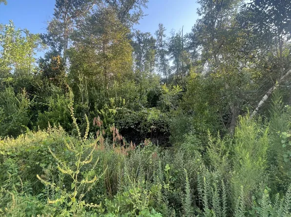 000 Powder Circle, Alford, FL 32420