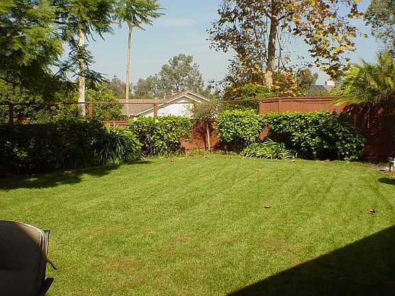Big Grass Backyard