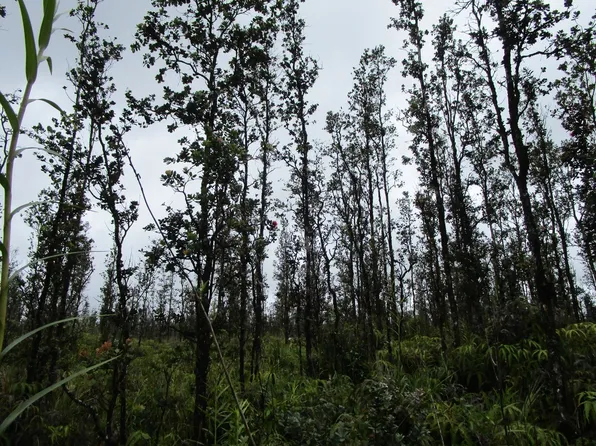 Road 3 Hopue Lot 3105, Kurtistown, HI 96760