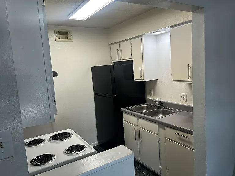 525 Spring Dr — Photo 3