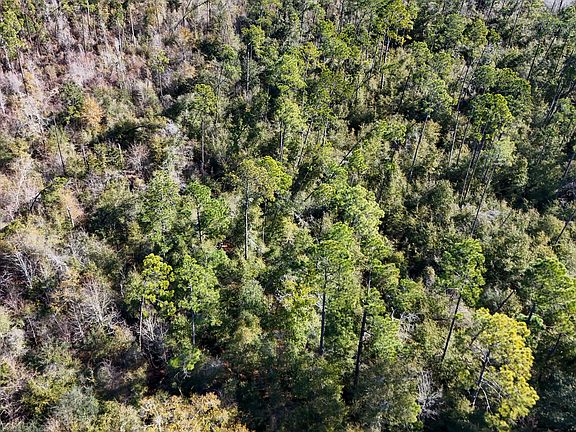 5th image of 0 White Pond Church Rd