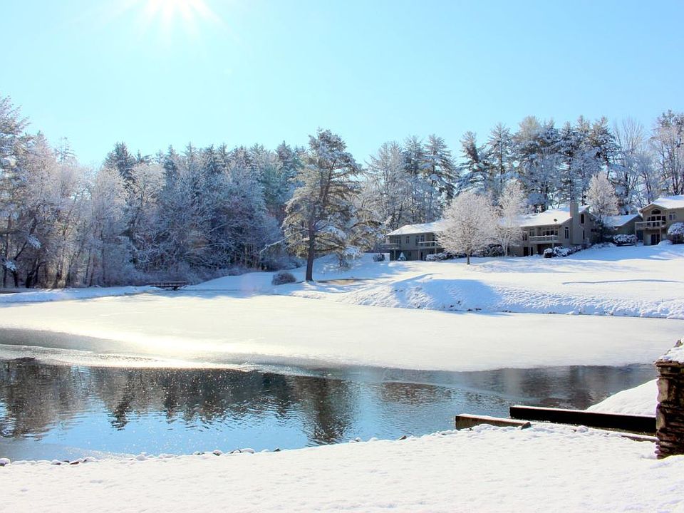 Pond