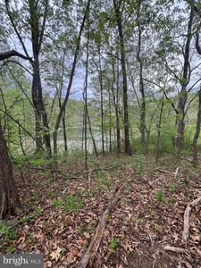 Memory Ln, Linden, VA, 22642