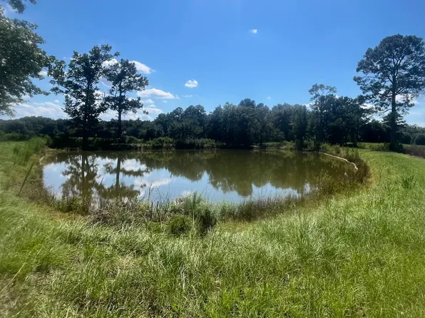 7 County Road 223, New Brockton, AL 36351