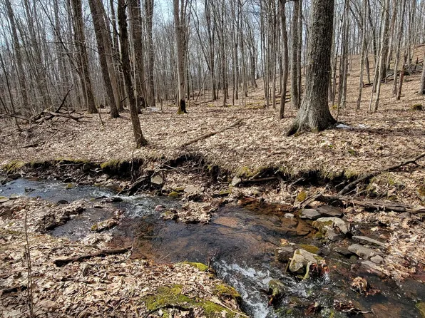 4 Mountain Top Ln, Callicoon, NY 12723