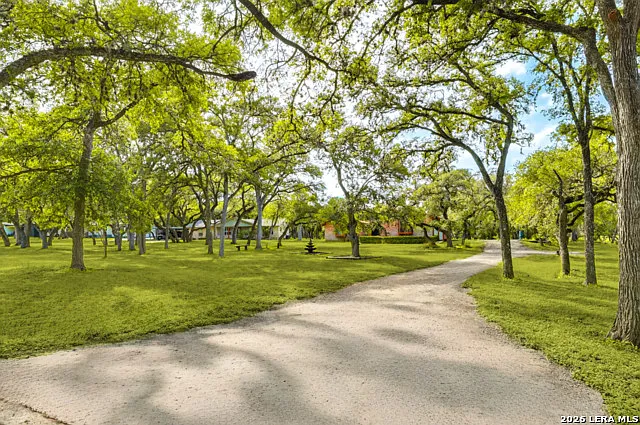1125 Fawn Dr — Photo 3