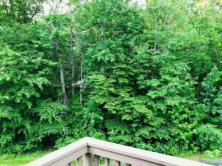 View from 2nd Bedroom Balcony