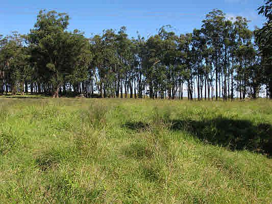 1st image of Mamalahoa Hwy Lot 129