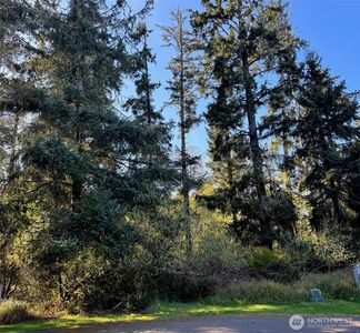 186 Murphy Court SE, Ocean Shores, WA, 98569