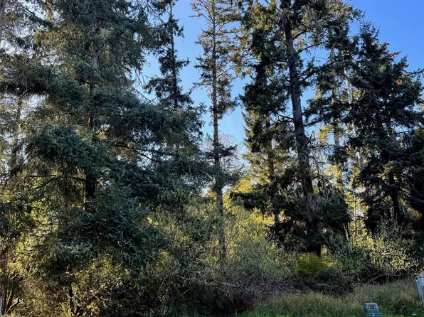 186 Murphy Court SE, Ocean Shores, WA 98569
