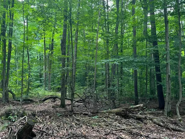 7956 E Mary Ave, Newaygo, MI 49337