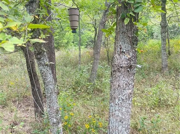 4750 Labette Ter, Rantoul, KS 66079